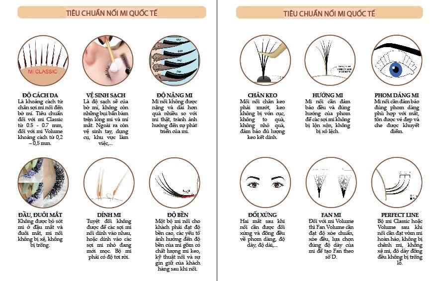 giáo trình dạy nối mi chuyên nghiệp