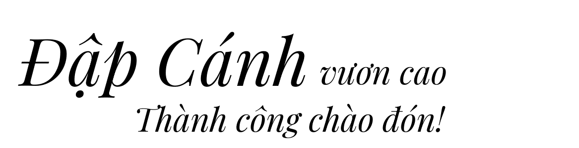 đập cánh vươn vao, thành công chào đón đập cánh vươn vao, thành công chào đón